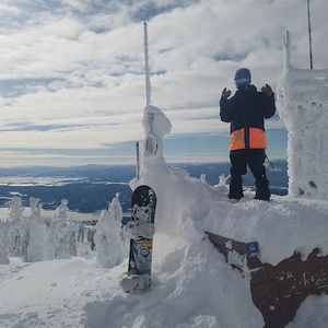 Meet your Posher, Augustus